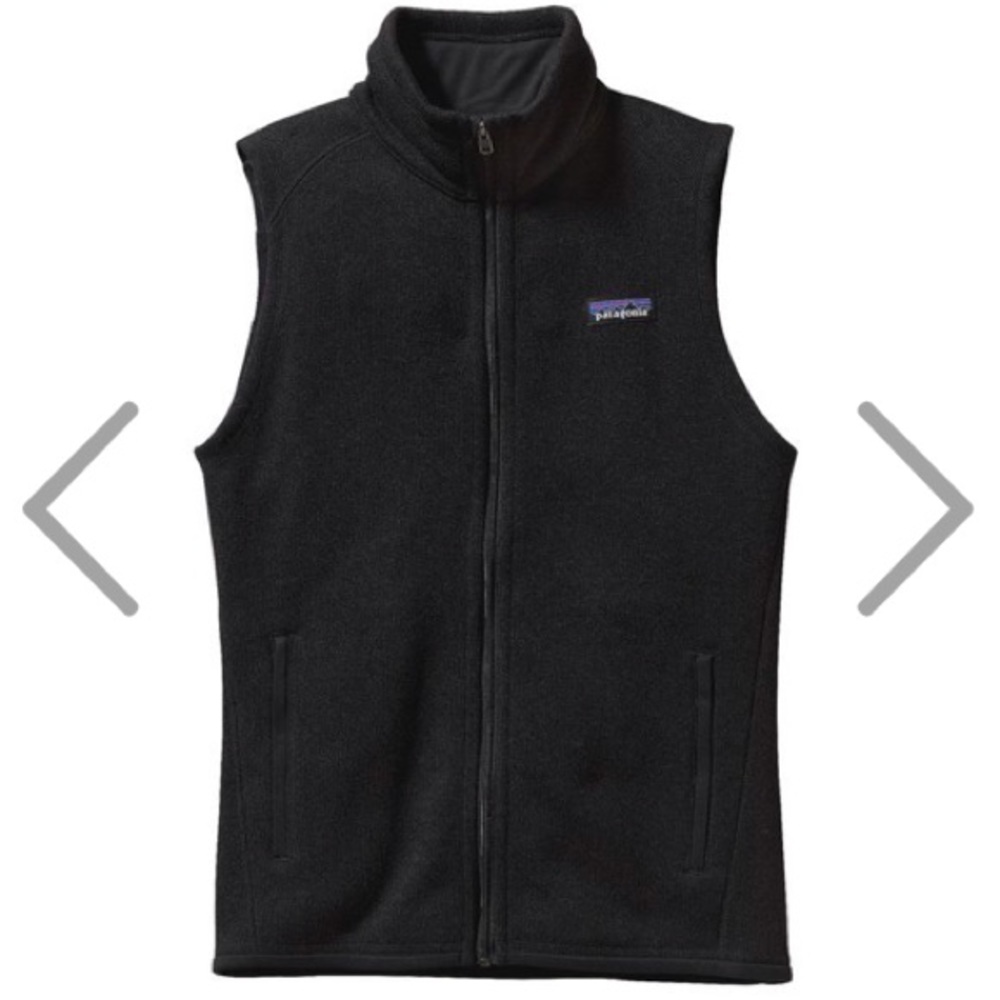 Patagonia better-sweater best